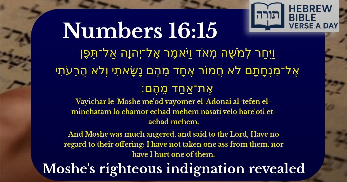 Numbers 16:15 - במדבר 16:15