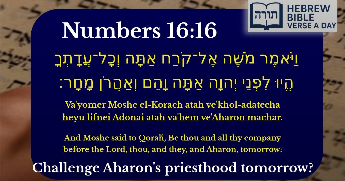Numbers 16:16 - במדבר 16:16