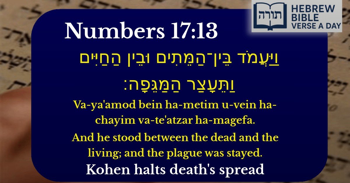 Numbers 17:13 - במדבר 17:13