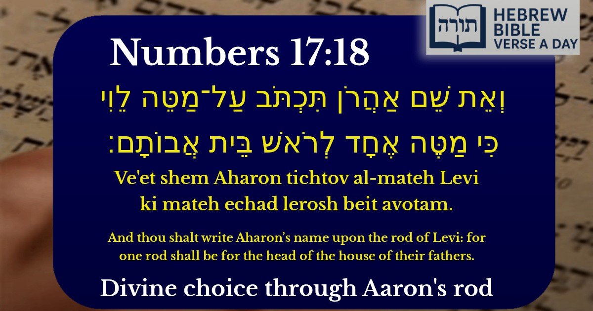 Numbers 17:18 - במדבר 17:18