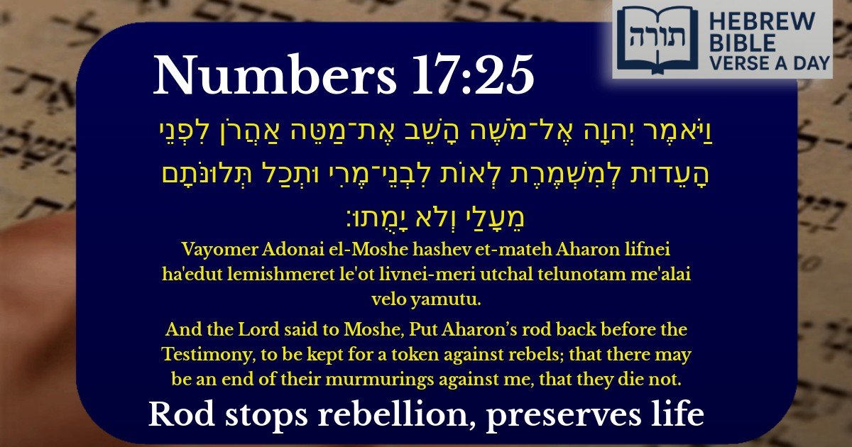 Numbers 17:25 - במדבר 17:25