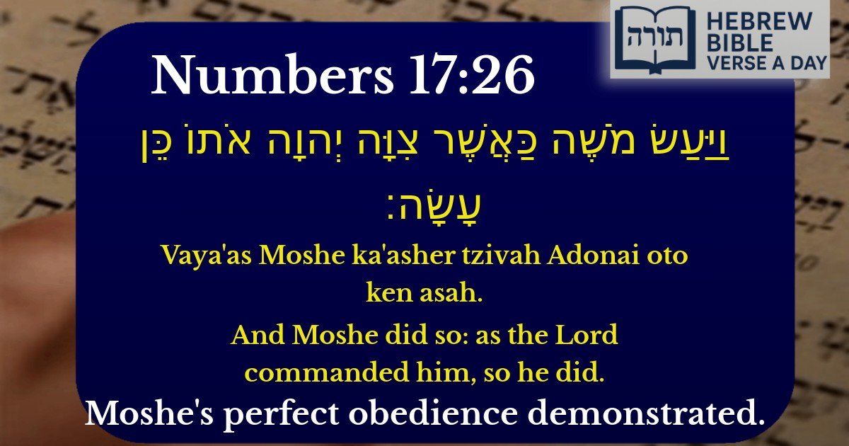 Numbers 17:26 - במדבר 17:26