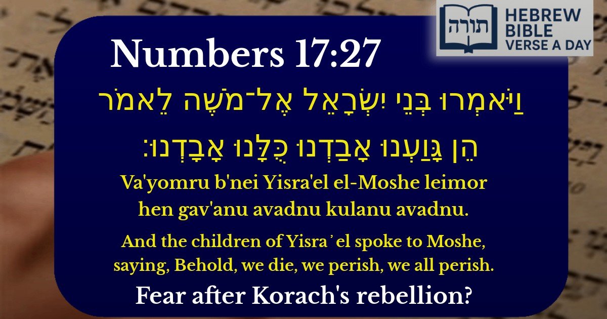 Numbers 17:27 - במדבר 17:27