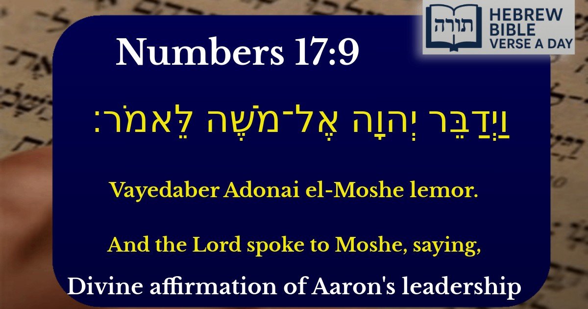 Numbers 17:9 - במדבר 17:9