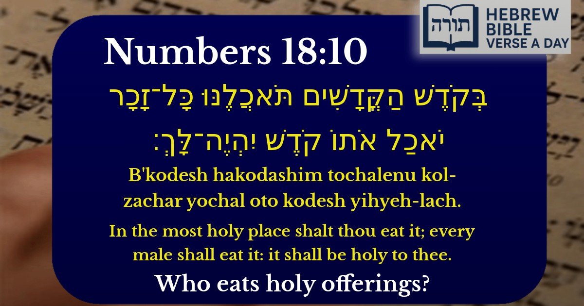 Numbers 18:10 - במדבר 18:10