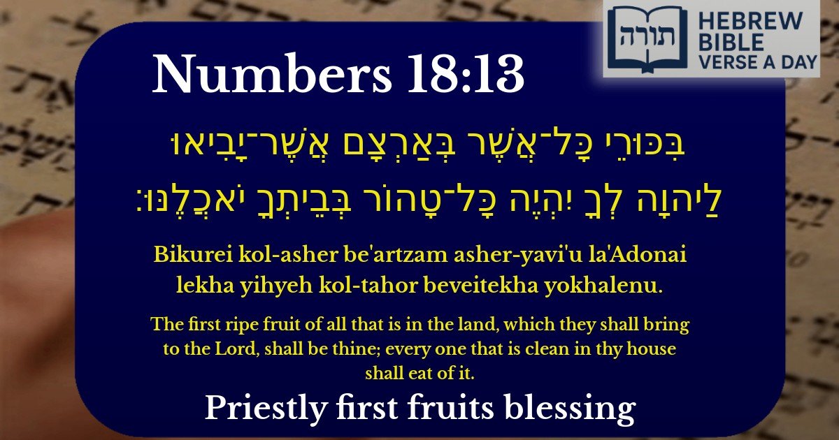 Numbers 18:13 - במדבר 18:13