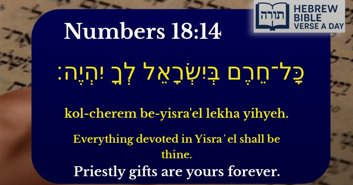 Numbers 18:14 - במדבר 18:14