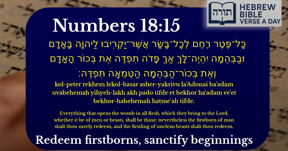 Numbers 18:15 - במדבר 18:15