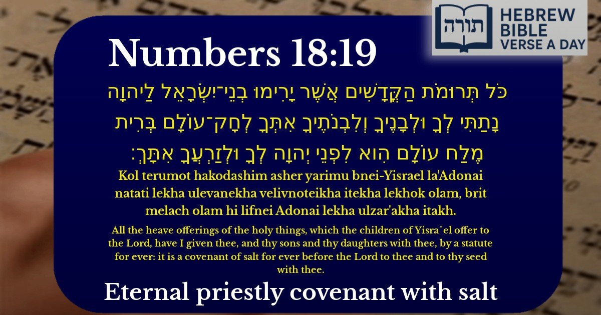 Numbers 18:19 - במדבר 18:19
