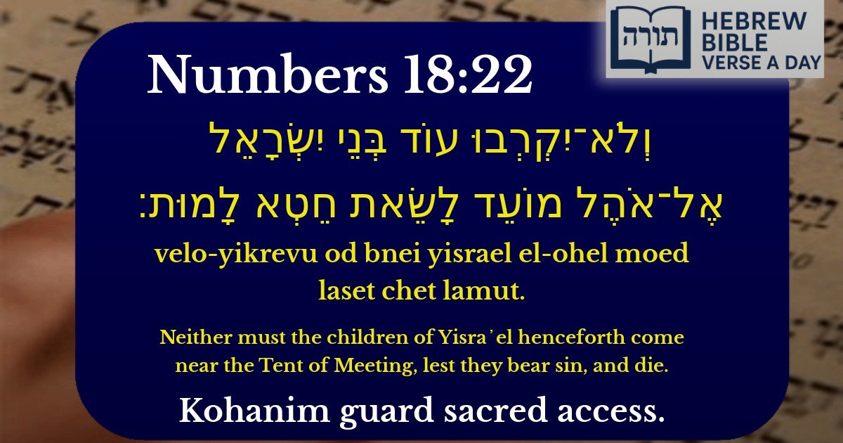 Numbers 18:22 - במדבר 18:22