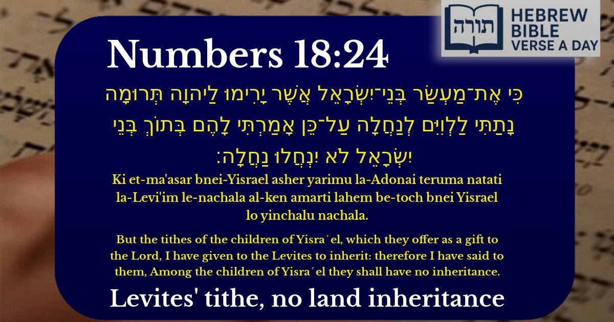 Numbers 18:24 - במדבר 18:24