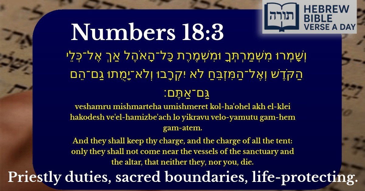 Numbers 18:3 - במדבר 18:3