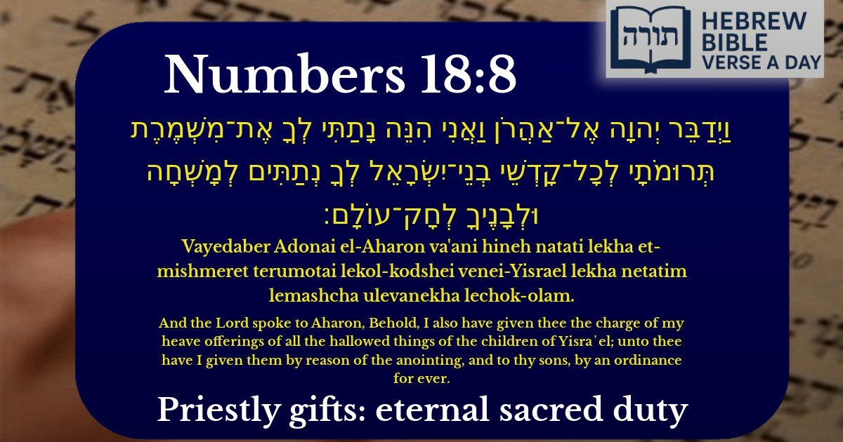 Numbers 18:8 - במדבר 18:8
