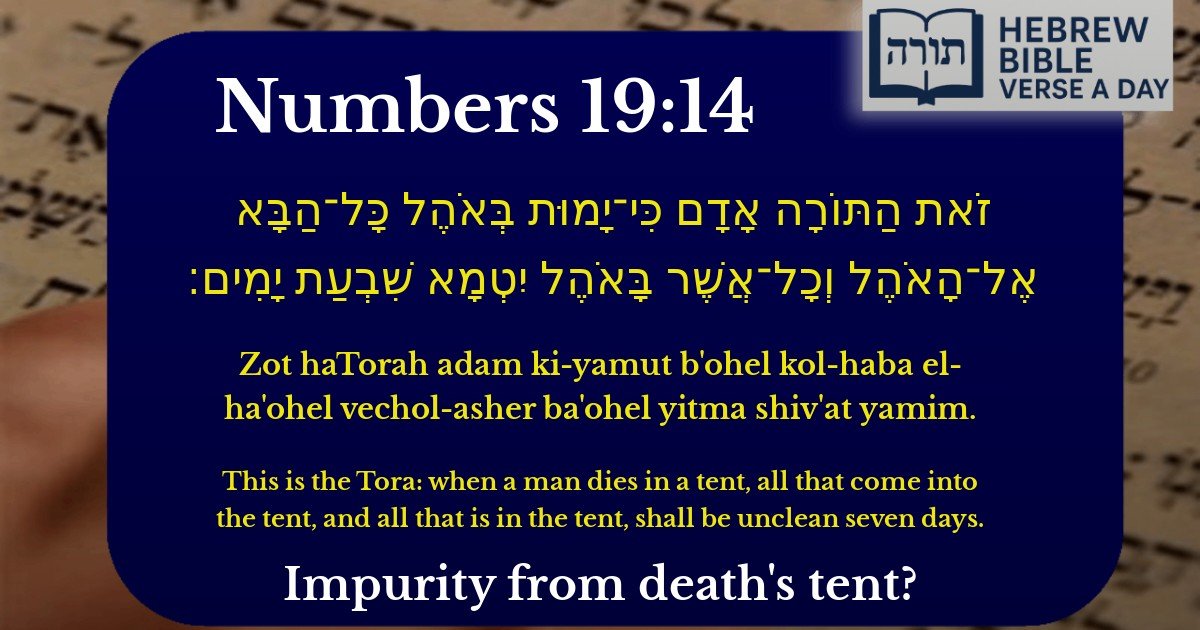 Numbers 19:14 - במדבר 19:14