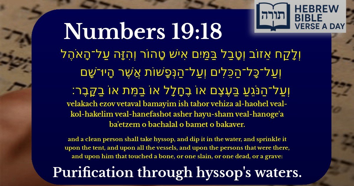 Numbers 19:18 - במדבר 19:18