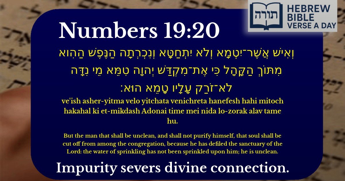 Numbers 19:20 - במדבר 19:20