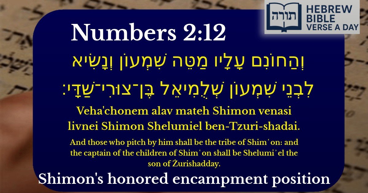 Numbers 2:12 - במדבר 2:12