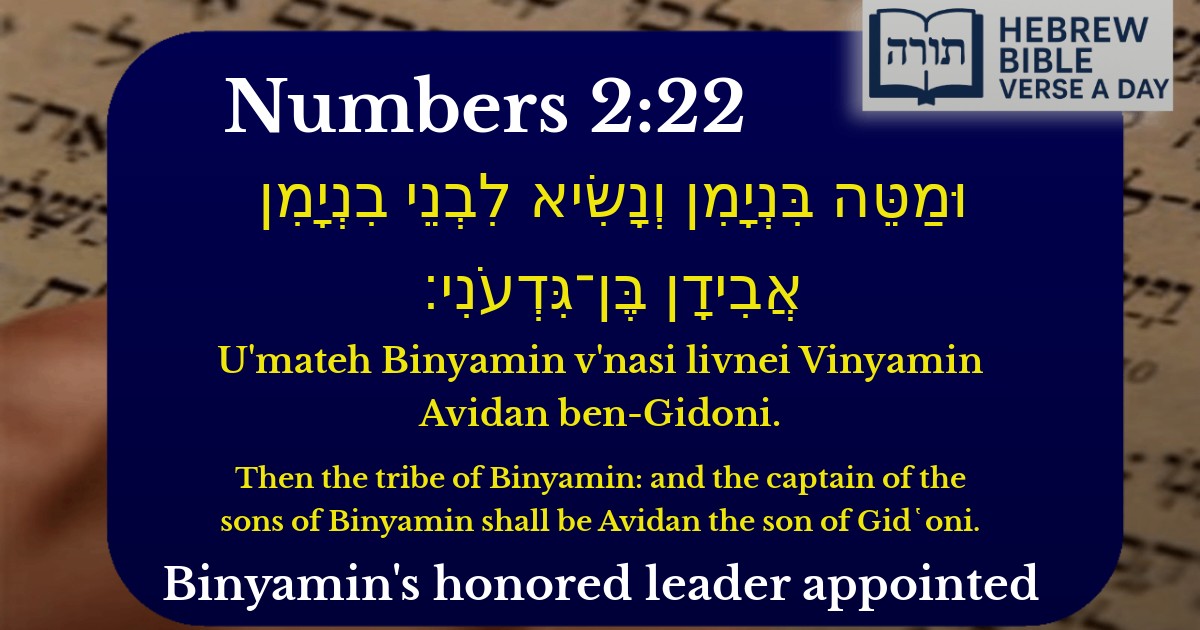 Numbers 2:22 - במדבר 2:22