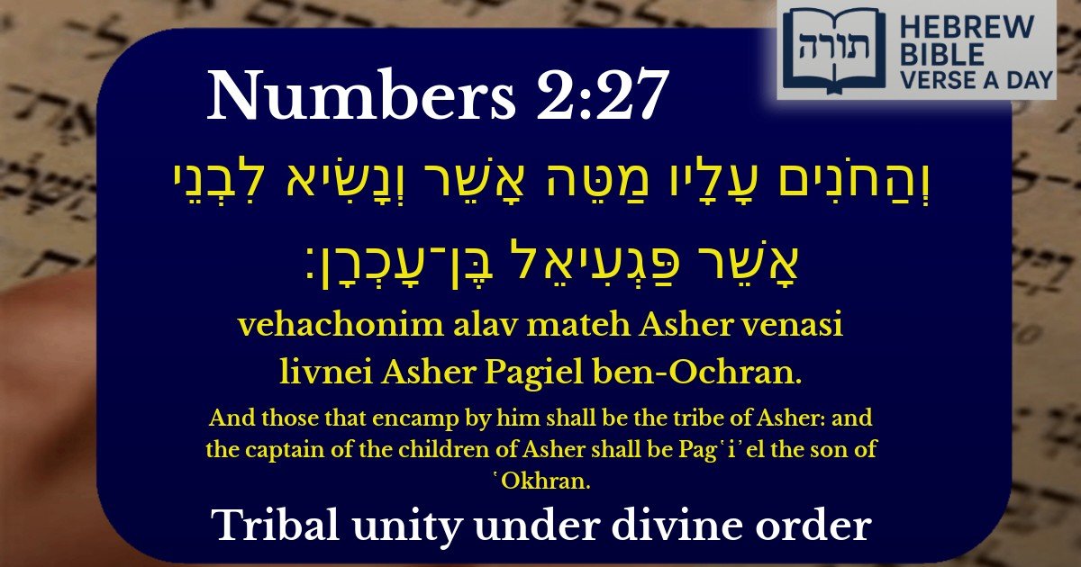 Numbers 2:27 - במדבר 2:27