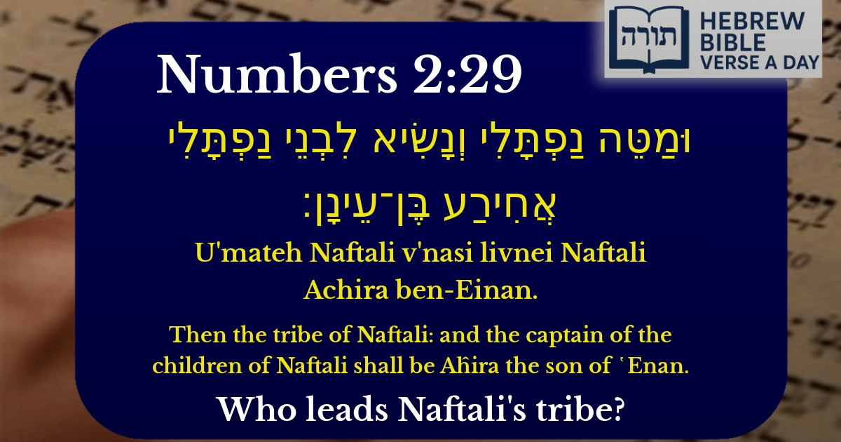 Numbers 2:29 - במדבר 2:29