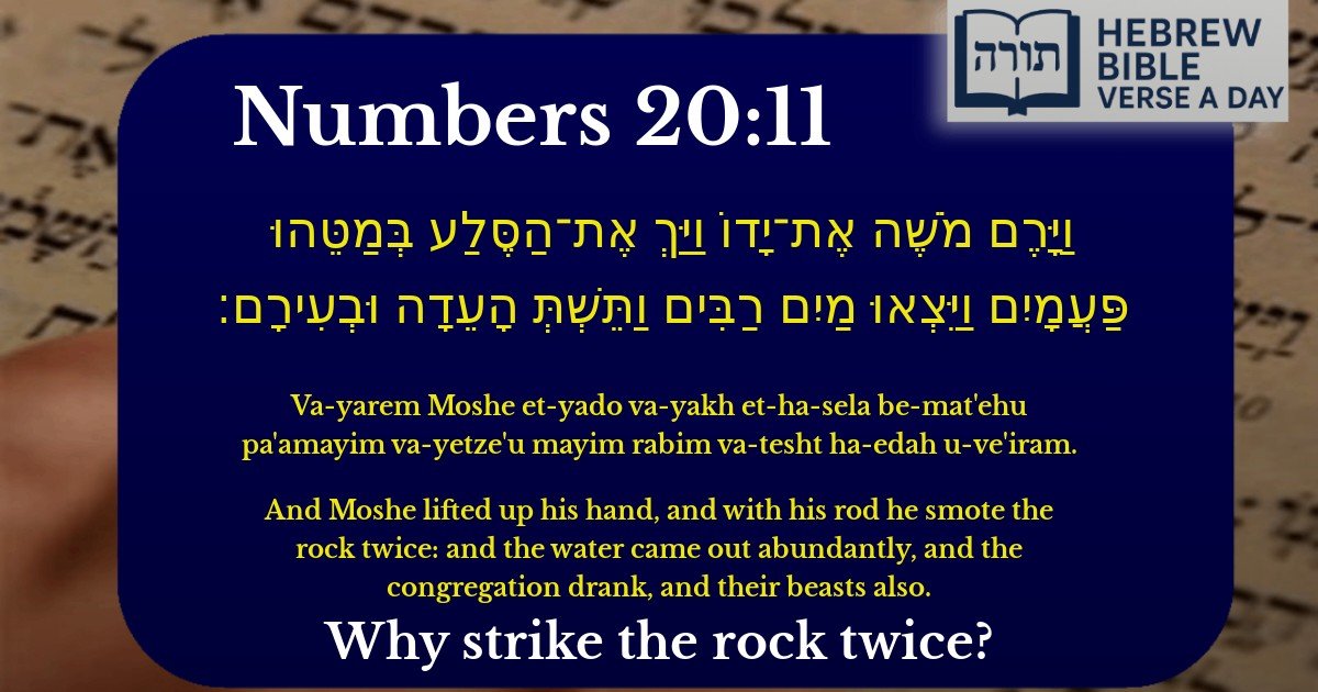 Numbers 20:11 - במדבר 20:11