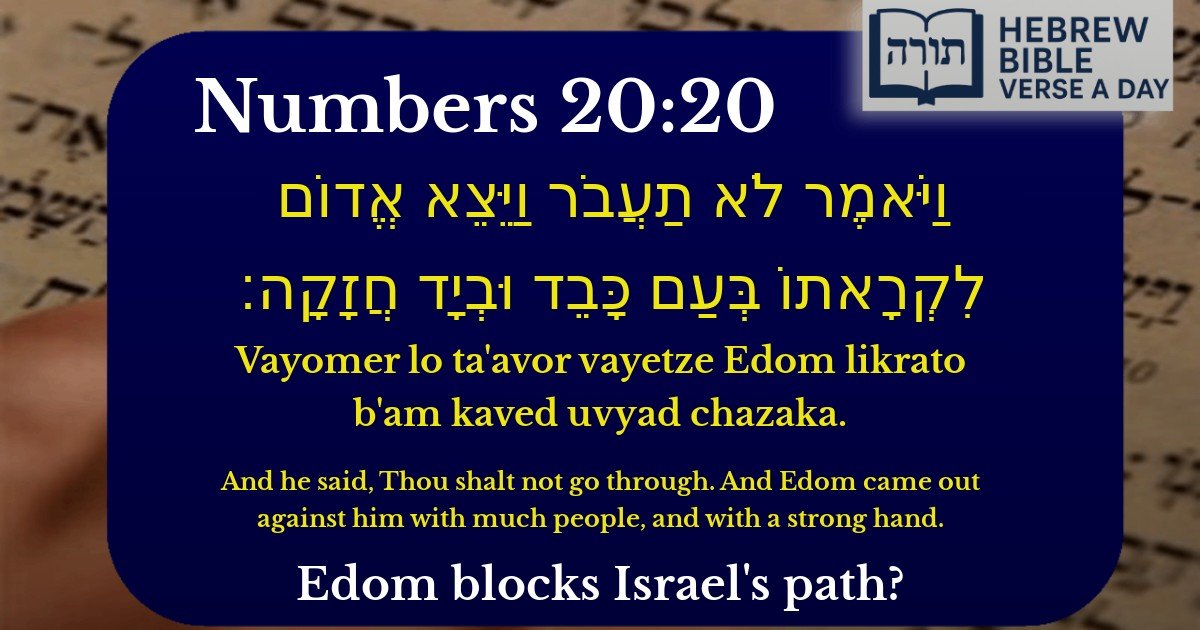 Numbers 20:20 - במדבר 20:20