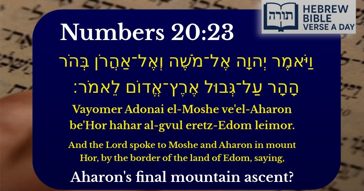 Numbers 20:23 - במדבר 20:23