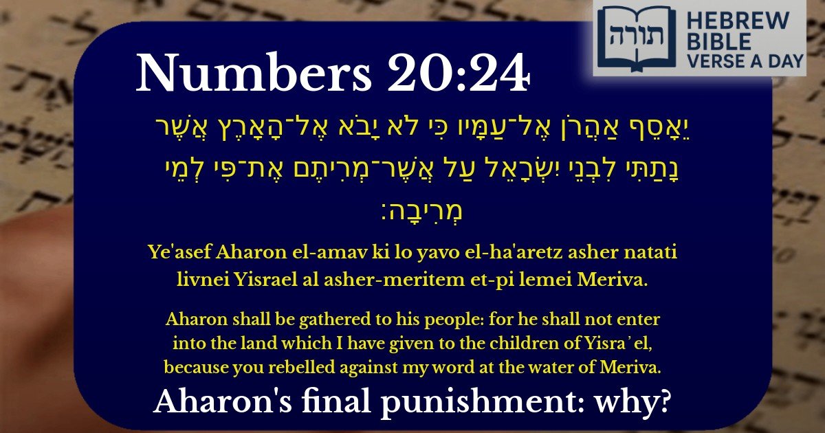 Numbers 20:24 - במדבר 20:24