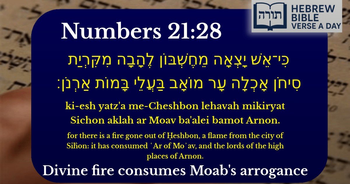 Numbers 21:28 - במדבר 21:28