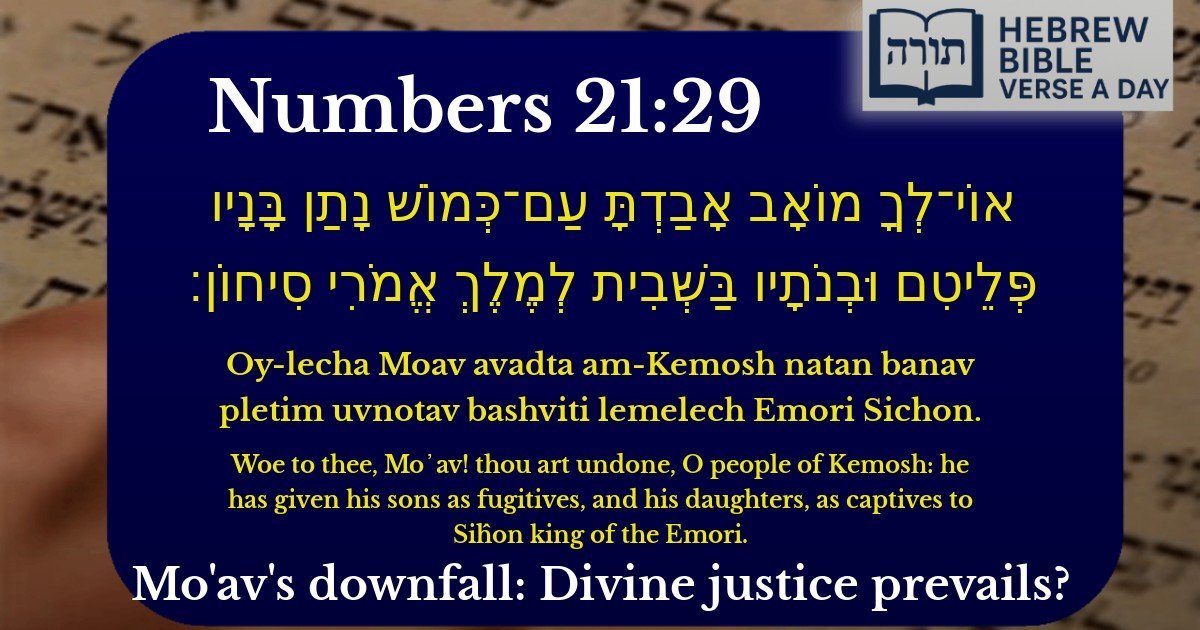 Numbers 21:29 - במדבר 21:29