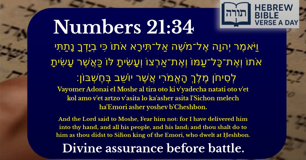 Numbers 21:34 - במדבר 21:34