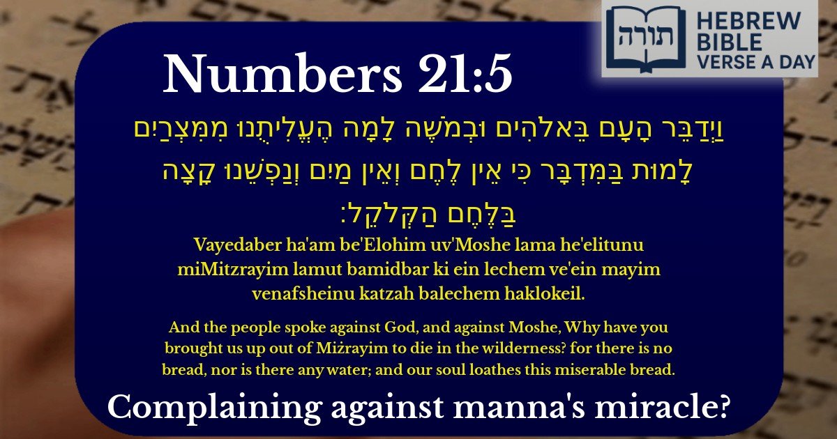 Numbers 21:5 - במדבר 21:5