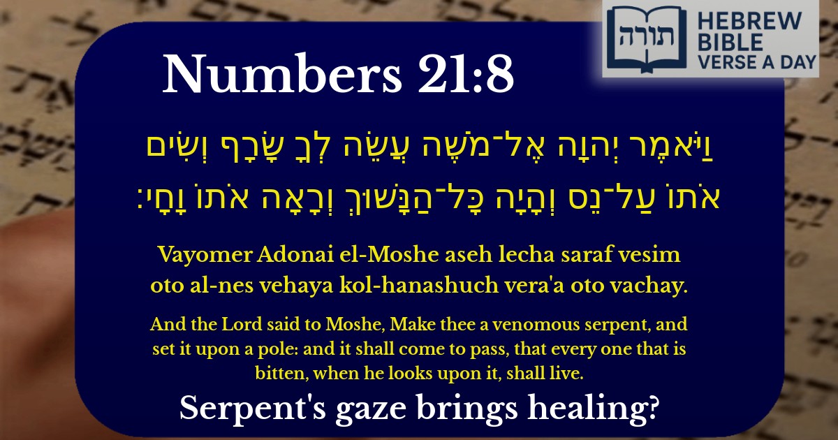 Numbers 21:8 - במדבר 21:8
