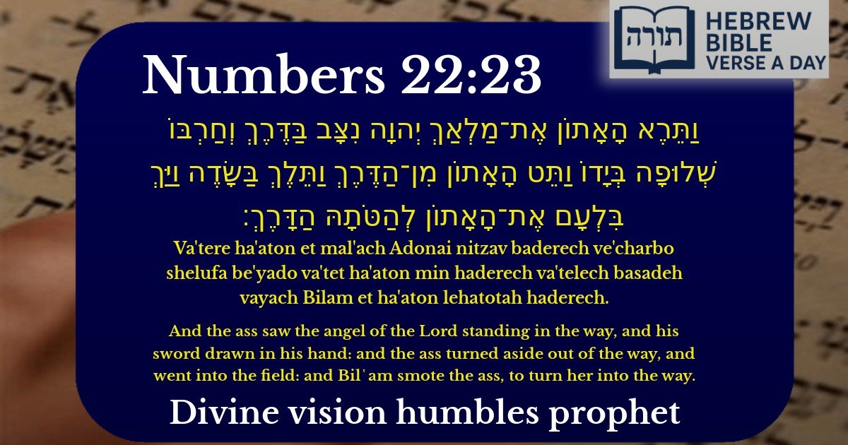 Numbers 22:23 - במדבר 22:23