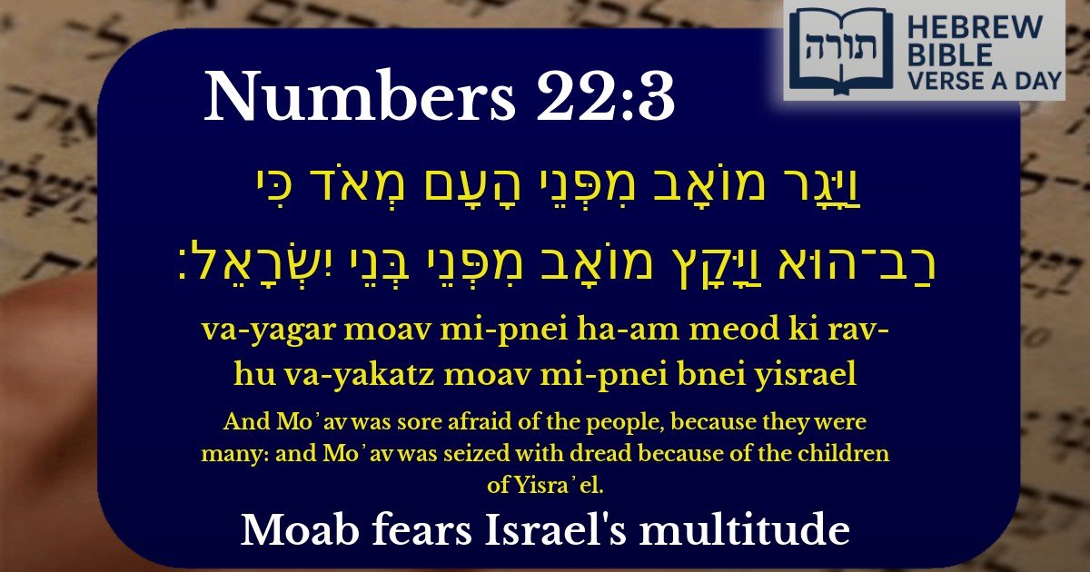 Numbers 22:3 - במדבר 22:3