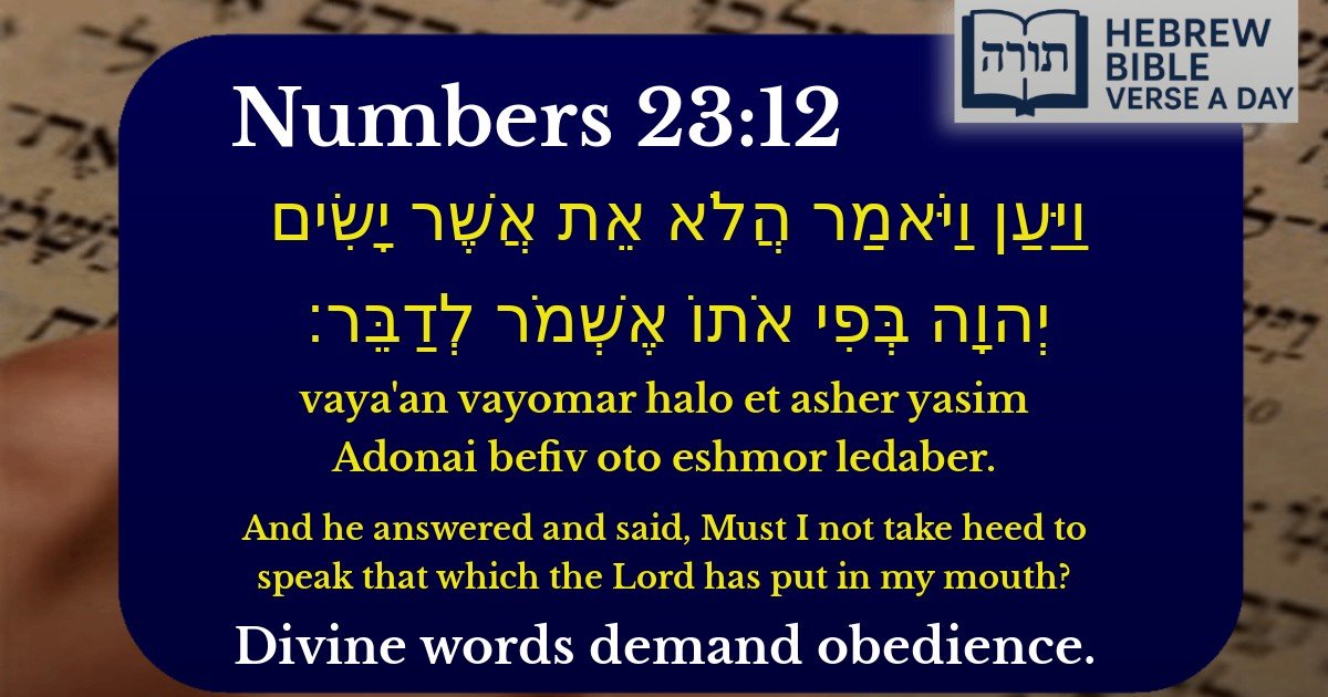 Numbers 23:12 - במדבר 23:12