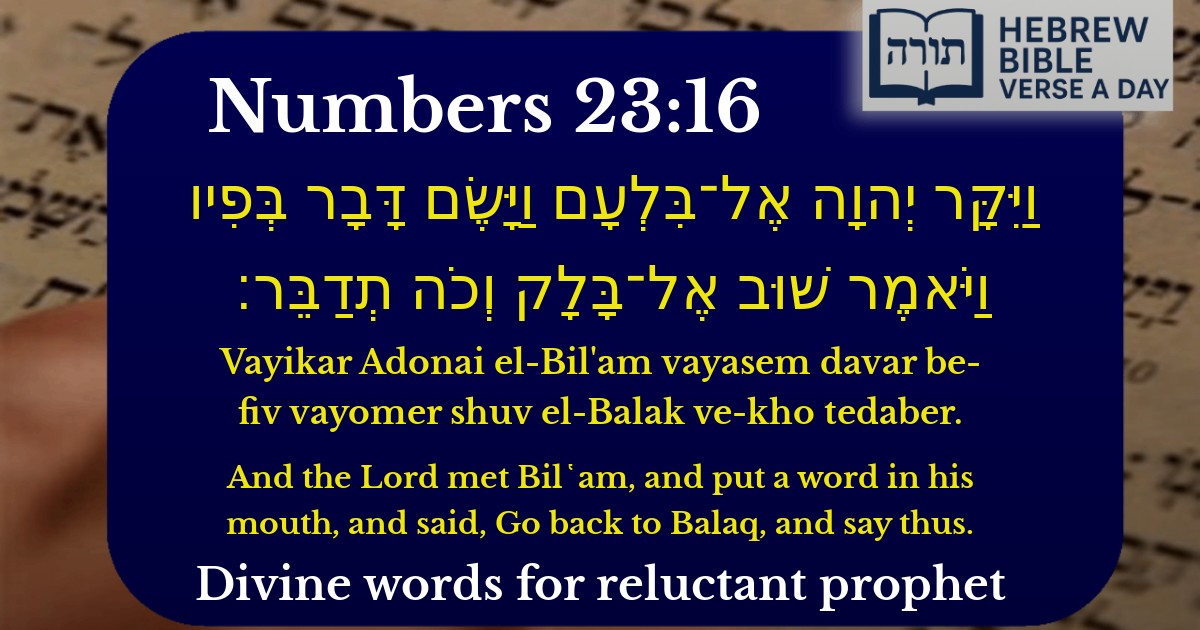 Numbers 23:16 - במדבר 23:16
