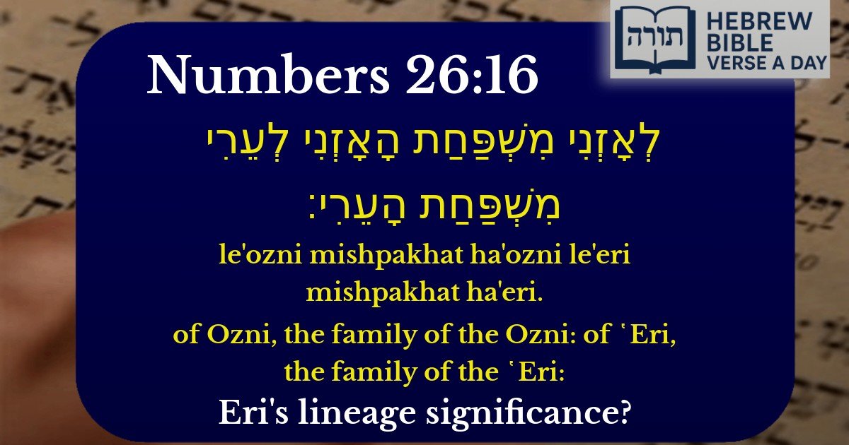 Numbers 26:16 - במדבר 26:16