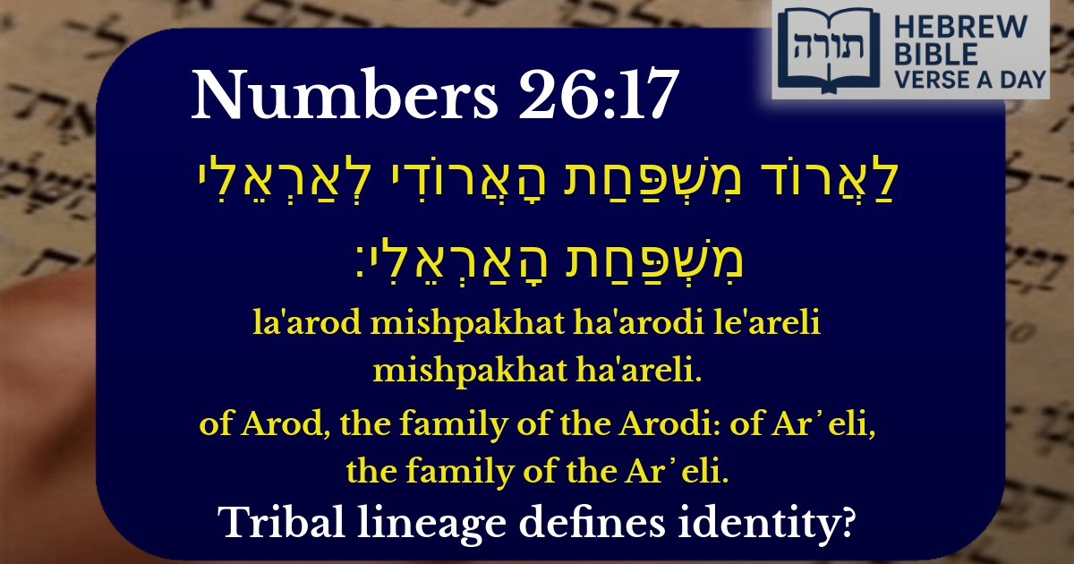 Numbers 26:17 - במדבר 26:17