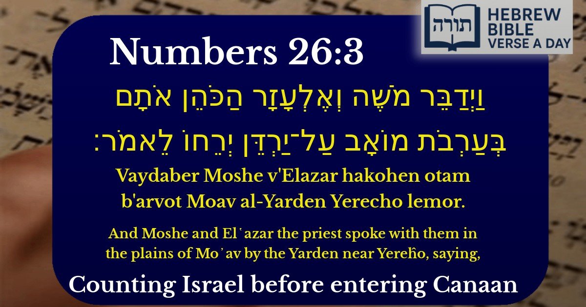 Numbers 26:3 - במדבר 26:3