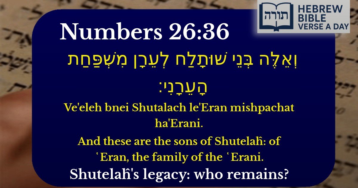 Numbers 26:36 - במדבר 26:36