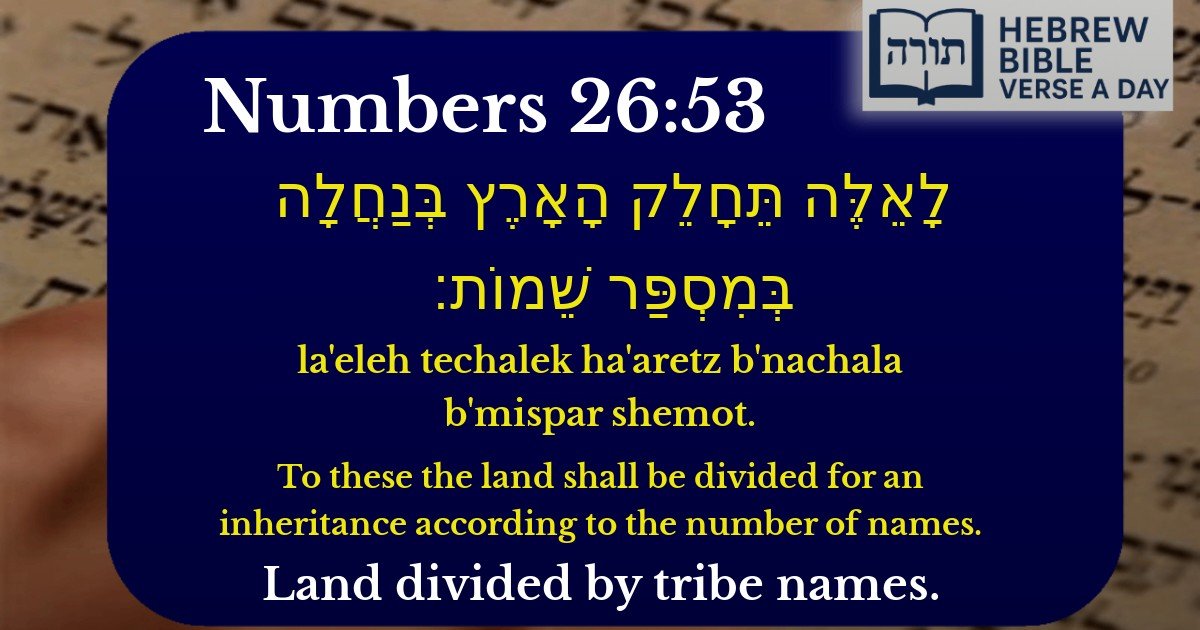 Numbers 26:53 - במדבר 26:53