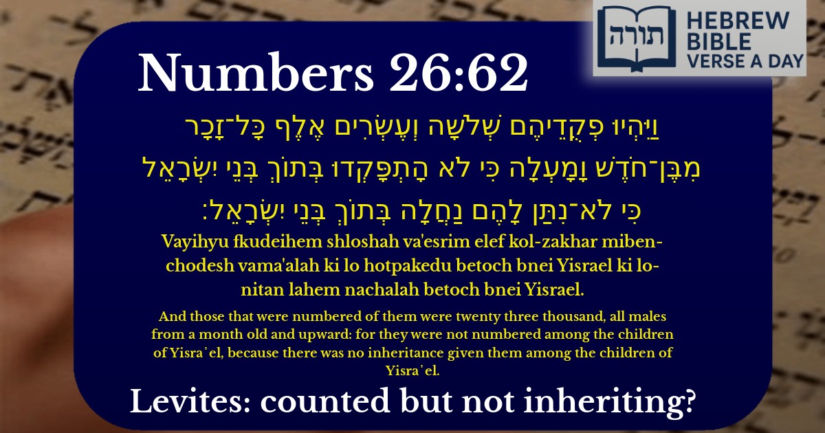 Numbers 26:62 - במדבר 26:62