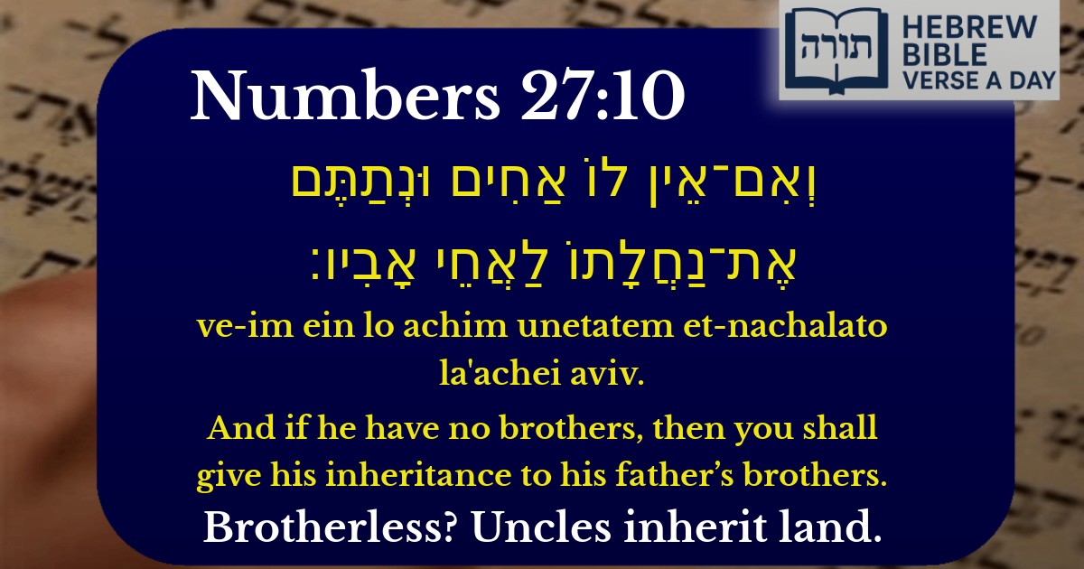 Numbers 27:10 - במדבר 27:10