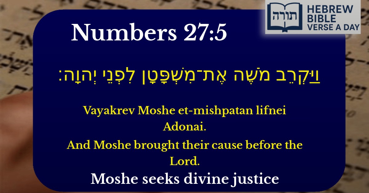 Numbers 27:5 - במדבר 27:5