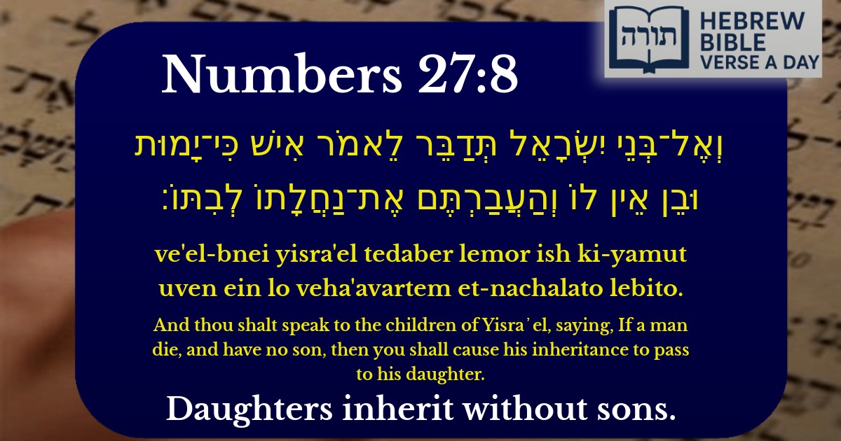Numbers 27:8 - במדבר 27:8