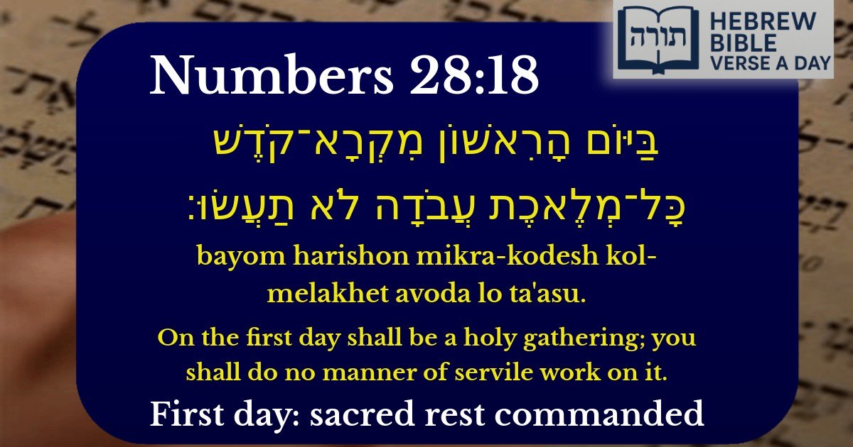 Numbers 28:18 - במדבר 28:18