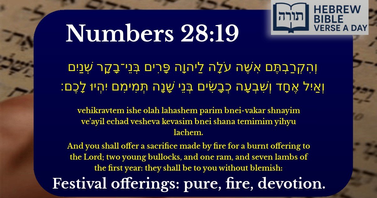 Numbers 28:19 - במדבר 28:19