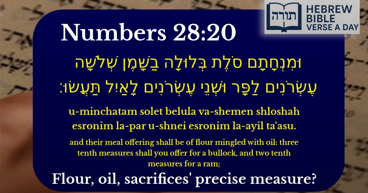 Numbers 28:20 - במדבר 28:20