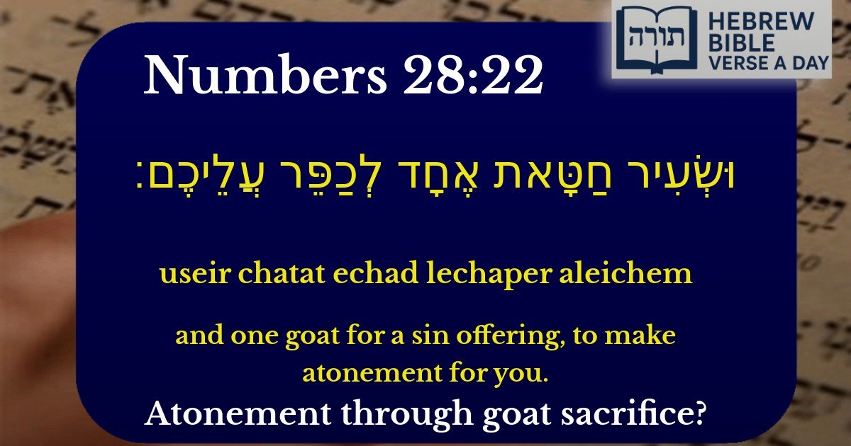 Numbers 28:22 - במדבר 28:22